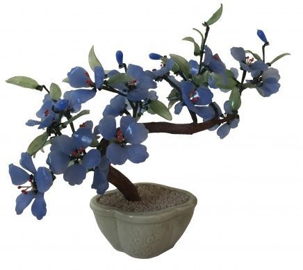 Bonsai