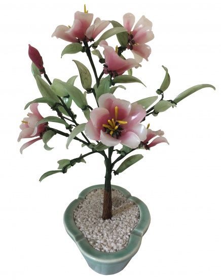 Bonsai