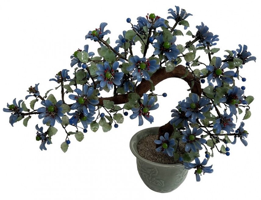 Bonsai
